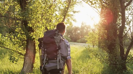 Young Man Walking in the Forest. The Sun is Shining