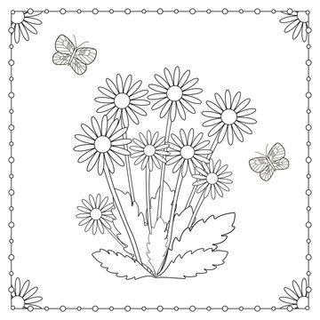 Coloring page from the flowers and butterflies.