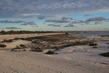 Beach of shells at Hamelin Bay in the orange light of the evening sun, Western Australia 