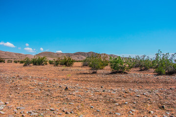 Desert landscape. Blue sky with white clouds. Summer steppe landscape. Hot desert with mountains view.