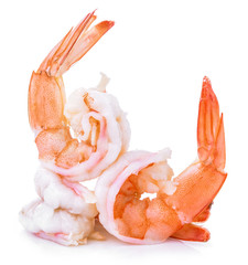 Shrimp Isolation on the white