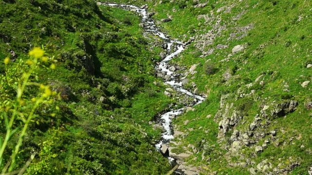 Little mountain river in Armenia