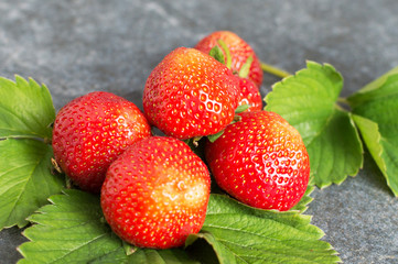 Juicy red strawberries in plates and leaves