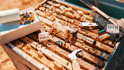 Beekeeper working tools on the hive