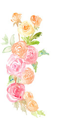 Sweet roses on white background, watercolor painting, flower art concept