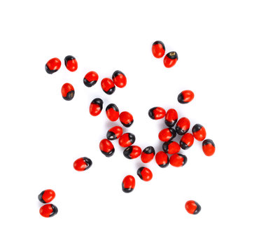 Jequirity seeds,Abrus precatorius L. on white background