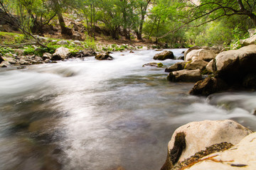 Water in a creek in the nature