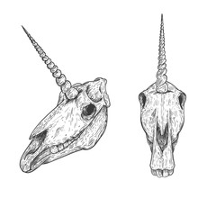 Unicorn skull in retro vintage style. Design template for tattoo, print, cover. Vector illustration. © cgterminal