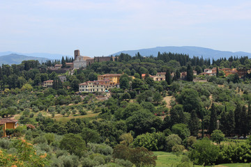 Fototapeta na wymiar Florence Panorama