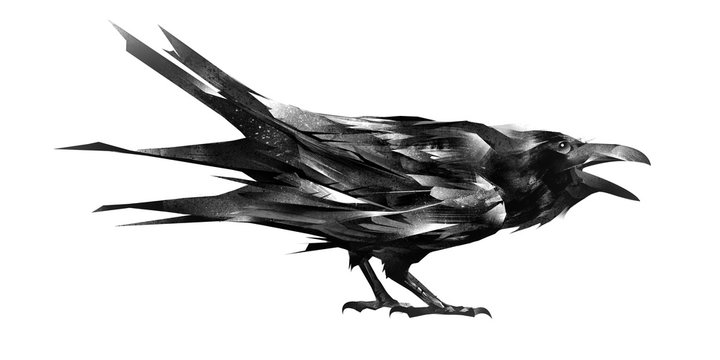 sketch of a crow sitting on white background