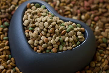 dry pet food in plastic heart bowl.