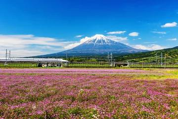 Fotobehang Shinkansen with Mt. Fuji and Shibazakura © Blanscape