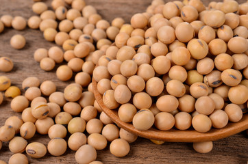 Soybeans on old wood background