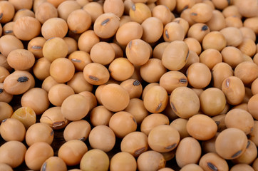Soybeans background
