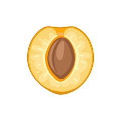 Slice of apricot on white background. Flat color illustration