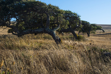 La forma del vento (Sardegna)