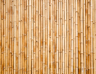 old bamboo plank fence texture for background - obrazy, fototapety, plakaty