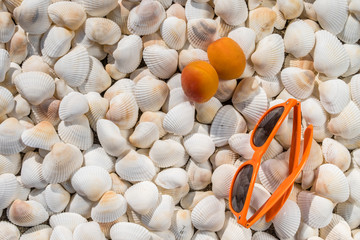 Lot of seashells of different sizes with glasses and apricots