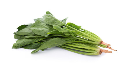 fresh spinach on white background