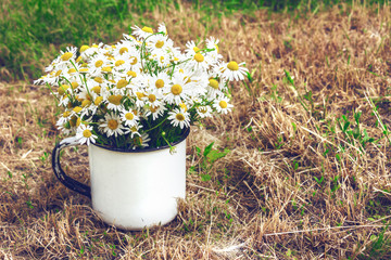 Bouquet of daisies on the yellow grass. Vintage composition. The summer mood.