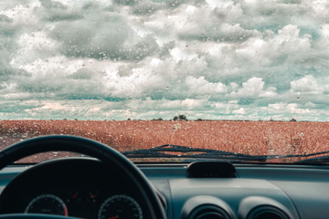 Rainy day in the car window. Wheat field after rain. Overcast weather and cloudy sky. Countryside landscape.