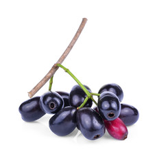 Jambolan plum on white background