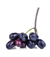 Jambolan plum on white background
