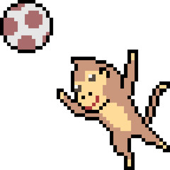 vector pixel art monkey play ball