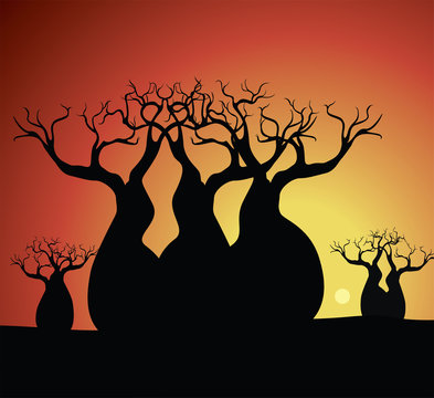 Boab (Baobab) Tree Vector Painting. Aboriginal  art vector background. 