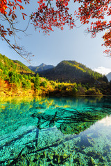 Amazing view of the Five Flower Lake among colorful fall woods