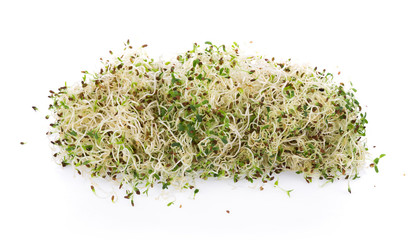 heap of alfalfa sprouts on white background