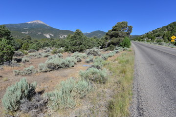 The Great Basin National park in Nevada.
