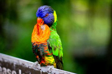 Can you match my colour?