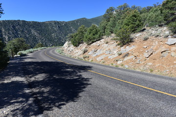 The Great Basin National park in Nevada.
