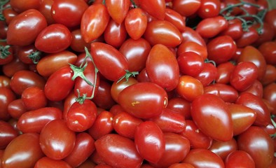 fresh from the market
