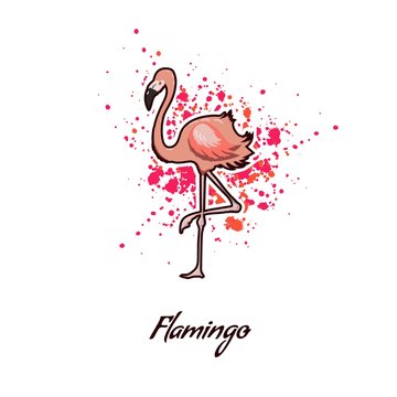 Pink flamingo, watercolor splashes, colorful paint drops. Beautiful vector illustration isolated on white background