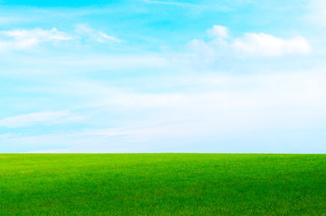 Green field against the blue sky