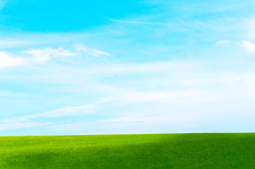 Fototapeta na wymiar Green field against the blue sky