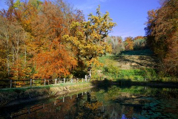 Fototapeta na wymiar The Central Lake of the Ermitage Arlesheim with autumn colors