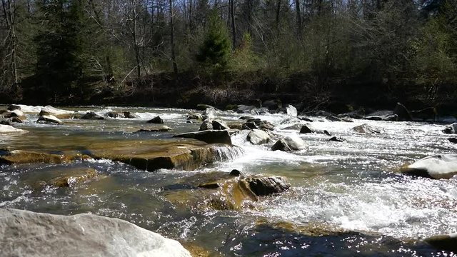 Flussbett, Sense, Bern, Schweiz 