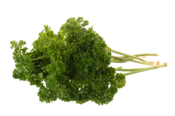 Green leaves of parsley isolated on white background