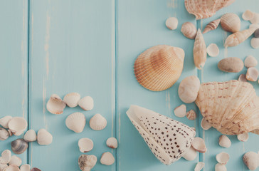 Seashells on blue wood, sea vacation background