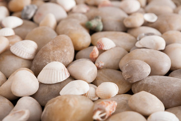 Sea pebbles background, natural seashore stones