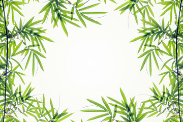 Naklejka premium Bamboo leaves frame isolated on white background