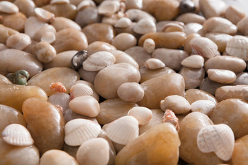 Sea pebbles background, natural seashore stones