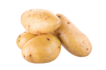 Ripe golden potato on white background. Vegetarian food. French fries or mashed potato ingredient