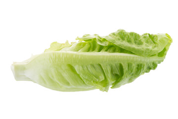 Fresh green cos lettuce Isolated on White Background