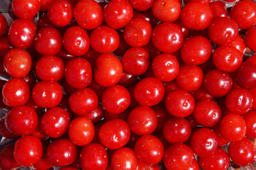 bunch of ripe juicy red cherries . cherry background