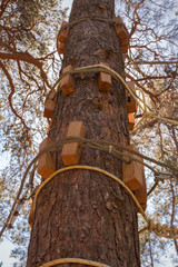 Rope park. Mountaineering