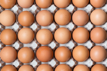 Close up of Chicken eggs in package